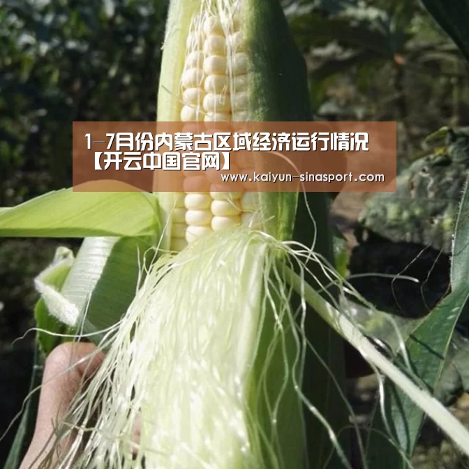 开云中国官网